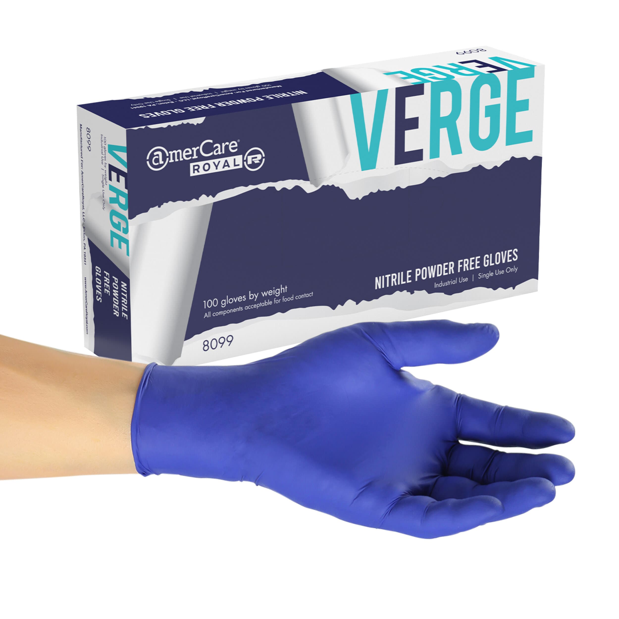 Gloves Large (LG) Purple Nitrile Powder-Free 100 Count/Pack 10 Packs/Case 1000 Count/Case