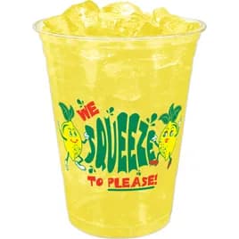 Cup 16 OZ PET Clear Squeeze To Please 1000/Case