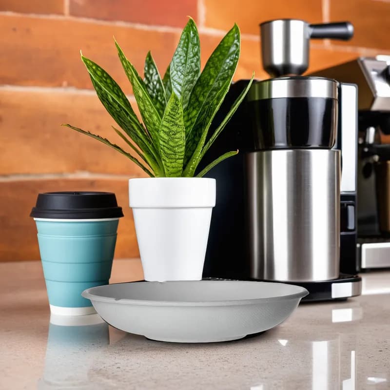 Coupe Bowl 24 OZ Sugarcane White 400/Case