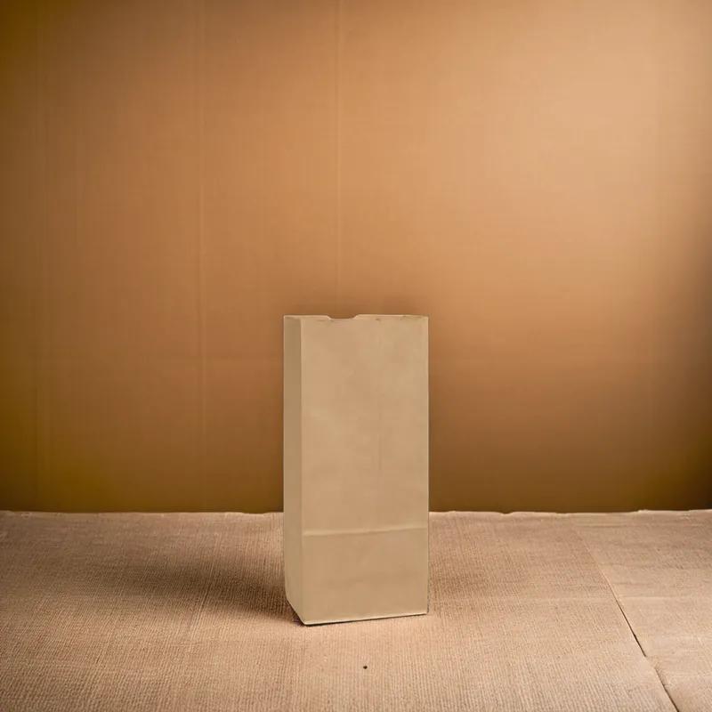 Victoria Bay Bag 16 LB Paper 50# Heavyweight Kraft 400/Bundle