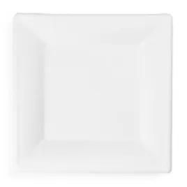 Plate 10.25X10.25 IN Sugarcane Natural Square 500 Count/Pack 1 Packs/Case