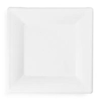 Plate 10.25X10.25 IN Sugarcane Natural Square 500 Count/Pack 1 Packs/Case