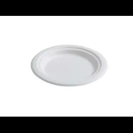 Plate 6 IN Pulp Fiber Paper 1000/Case