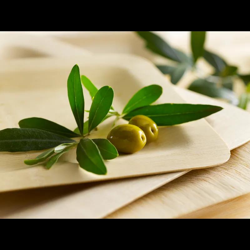 Plate 9X9 IN Bamboo Natural Square 25 Count/Pack 2 Packs/Case 50 Count/Case