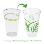 Cold Cup 24 FLOZ PLA Clear Green Stripe Generic 50 Count/Pack 12 Packs/Case 600 Count/Case