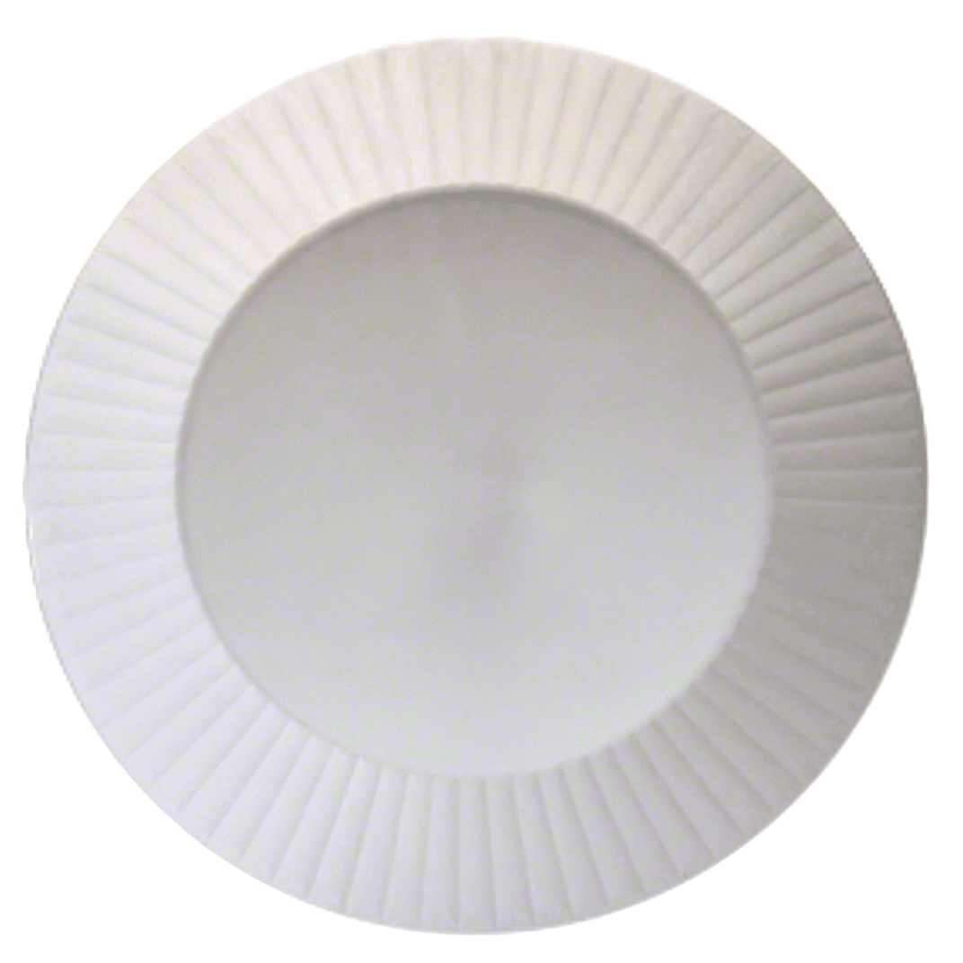 Plate 10 IN Plastic White 10 Count/Pack 12 Packs/Case 120 Count/Case