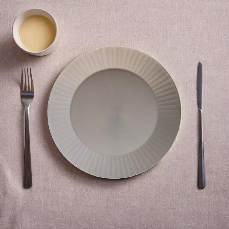 Plate 10 IN Plastic White 10 Count/Pack 12 Packs/Case 120 Count/Case