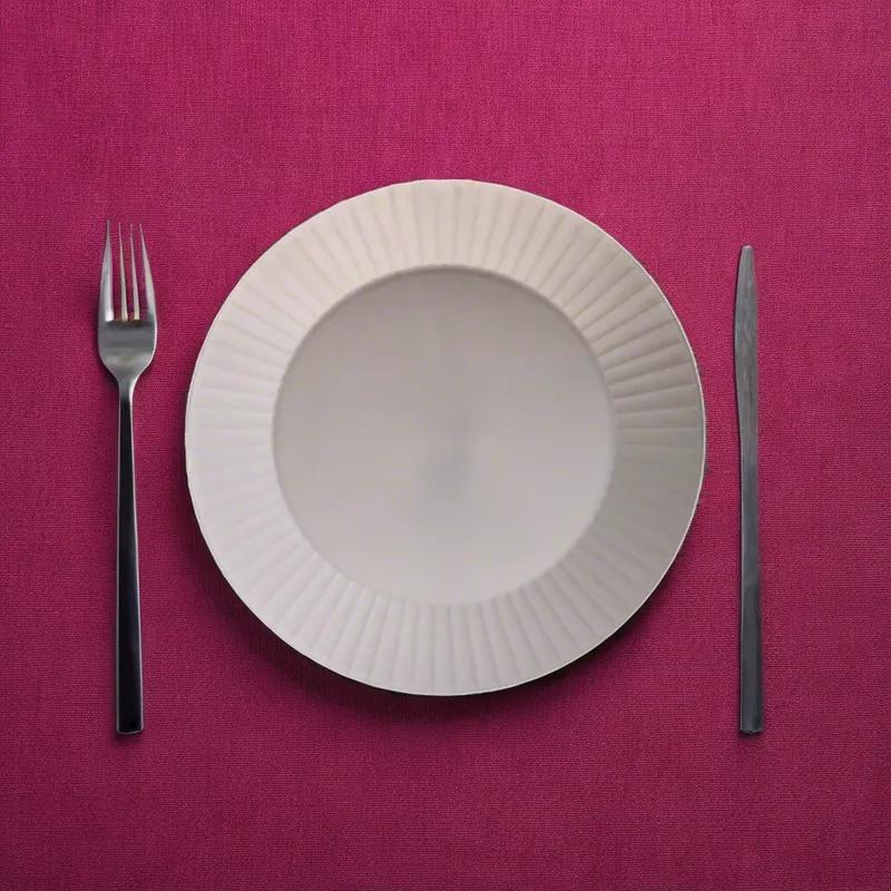 Plate 10 IN Plastic White 10 Count/Pack 12 Packs/Case 120 Count/Case