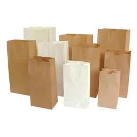 Bag #6 Extra Heavy Duty Kraft 1000/Case