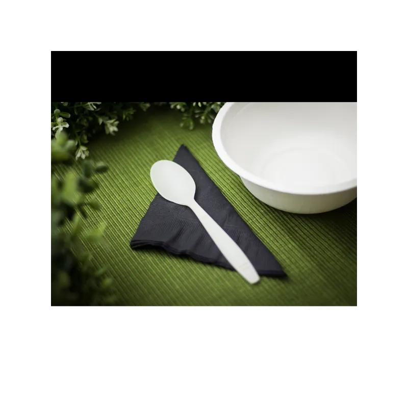 Teaspoon Natural Heavyweight 1000/Case