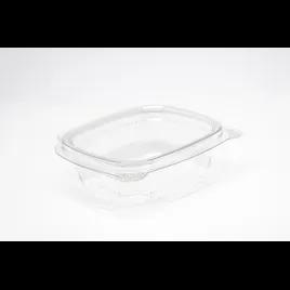 Deli Container Hinged With Flat Lid 4 OZ RPET Clear 100 Count/Pack 4 Packs/Case 400 Count/Case