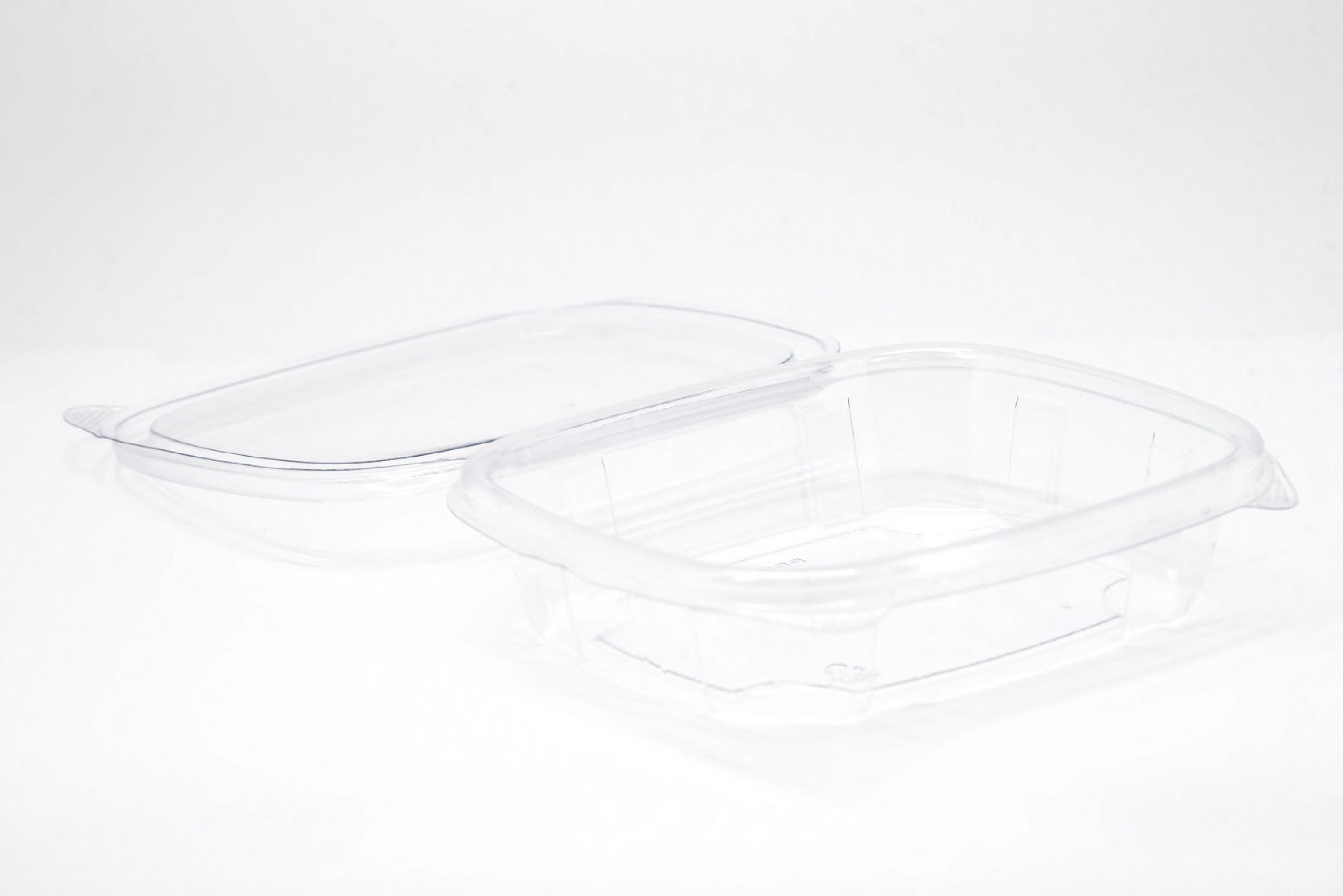 Deli Container Hinged With Dome Lid 8 OZ RPET Clear 100 Count/Pack 2 Packs/Case 200 Count/Case
