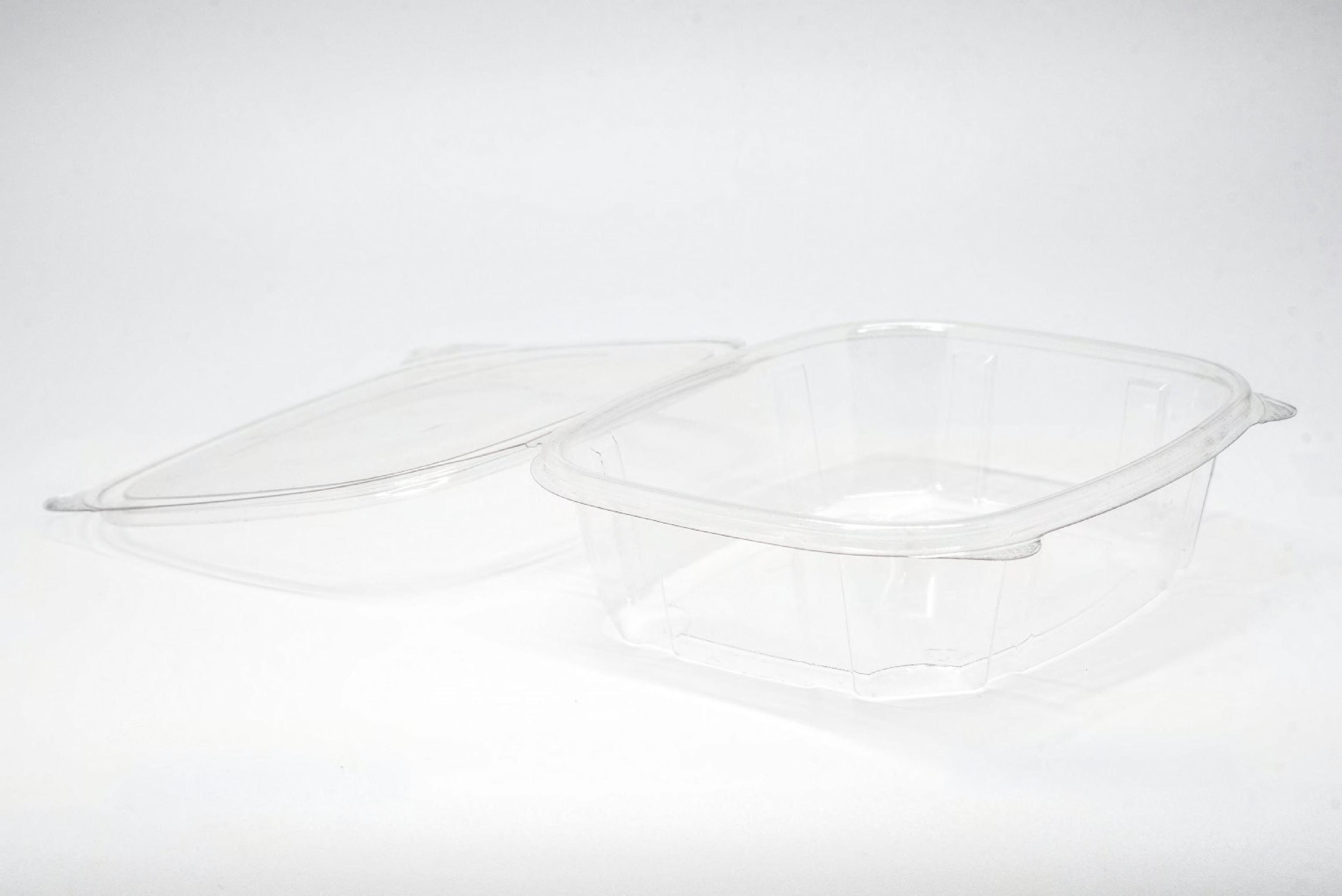 Deli Container Hinged With Flat Lid 24 OZ RPET Clear 100 Count/Pack 2 Packs/Case 200 Count/Case
