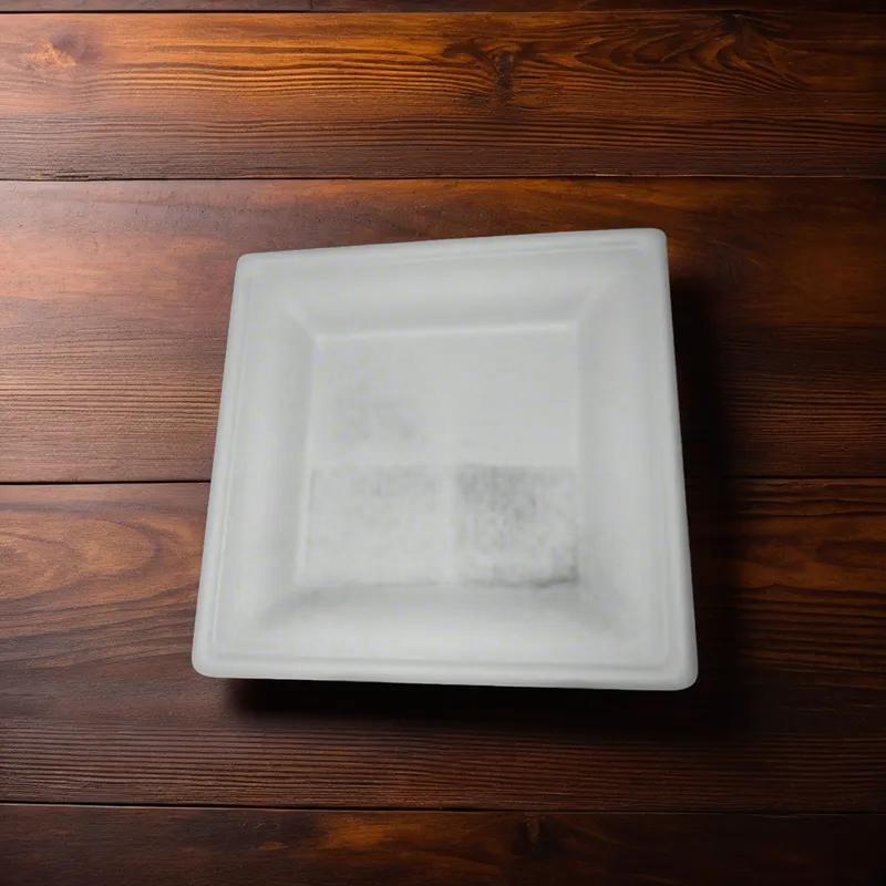 Plate 10 IN Square 125 Count/Pack 2 Packs/Case 250 Count/Case