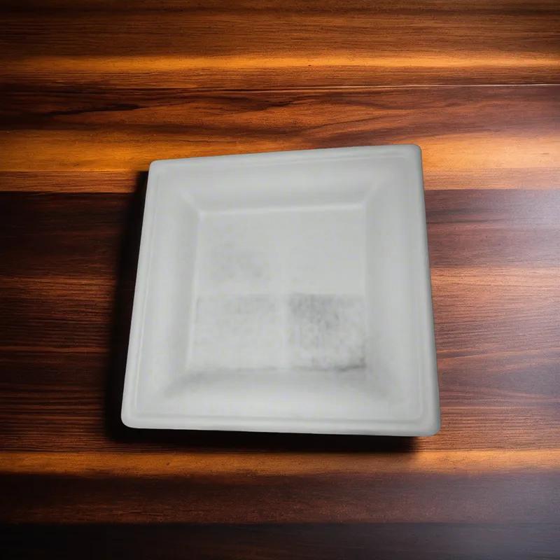 Plate 10 IN Square 125 Count/Pack 2 Packs/Case 250 Count/Case