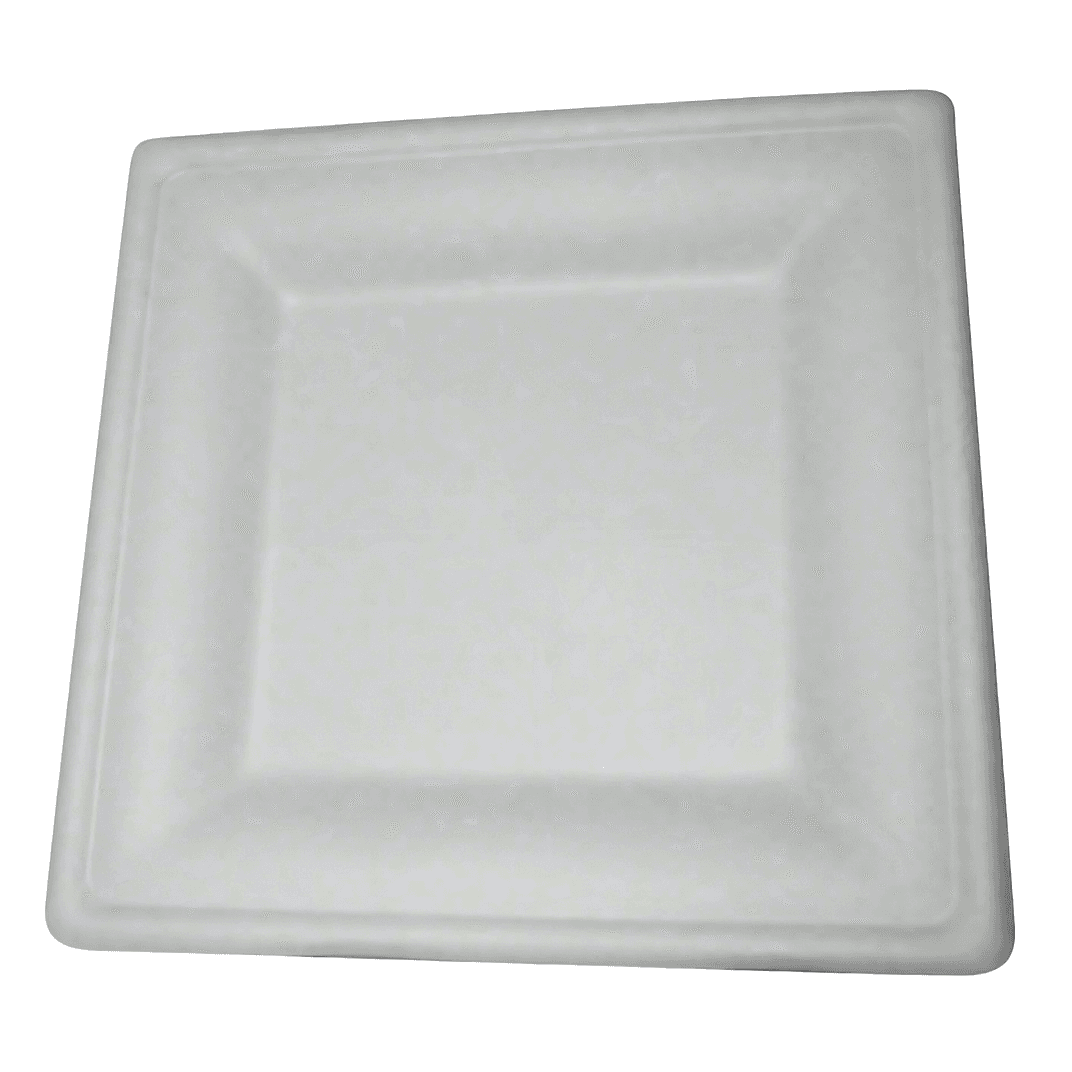 Plate 8 IN Pulp Fiber Square 500/Case