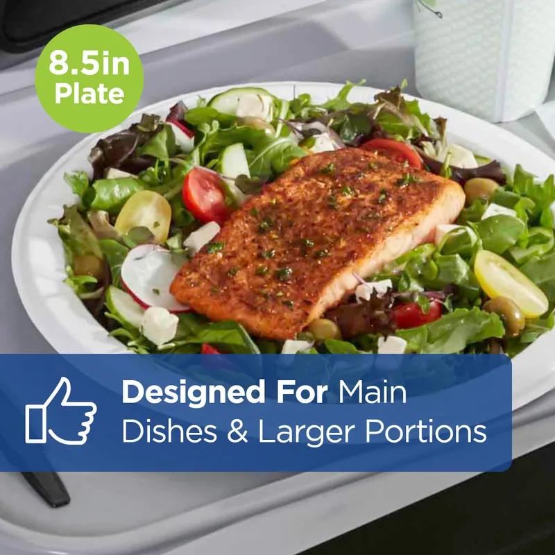 Dixie® Ultra Plate 9 IN Paper White Heavyweight 500/Case