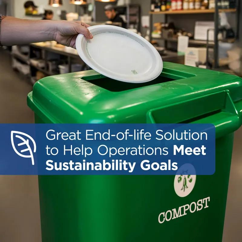 Dixie® Ultra Plate 9 IN Paper White Heavyweight 500/Case