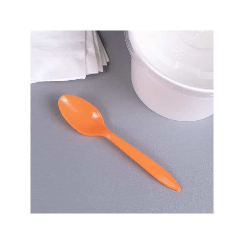 Karat® Teaspoon PP Assorted Medium Weight 1000/Case