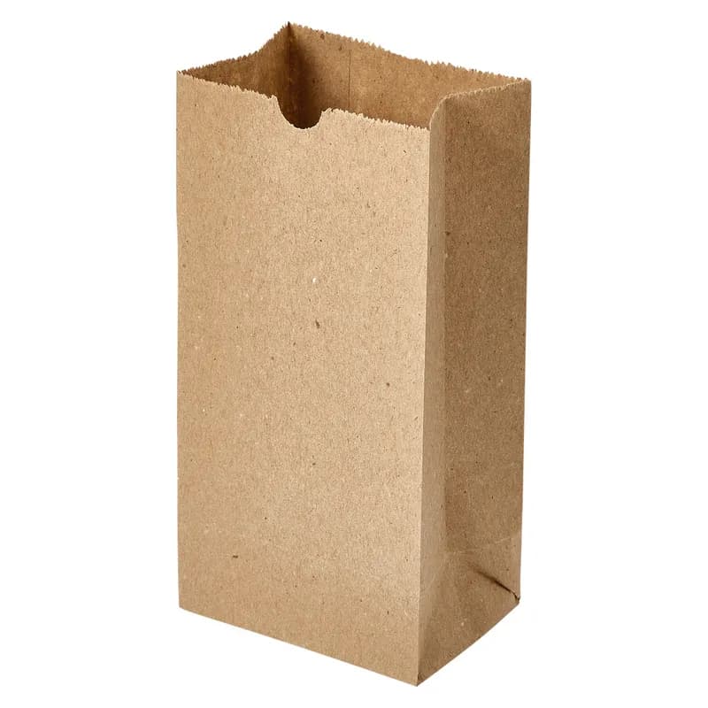 Victoria Bay Bag 4.02X2.56X7.99 IN Paper #2 Kraft 500/Bundle