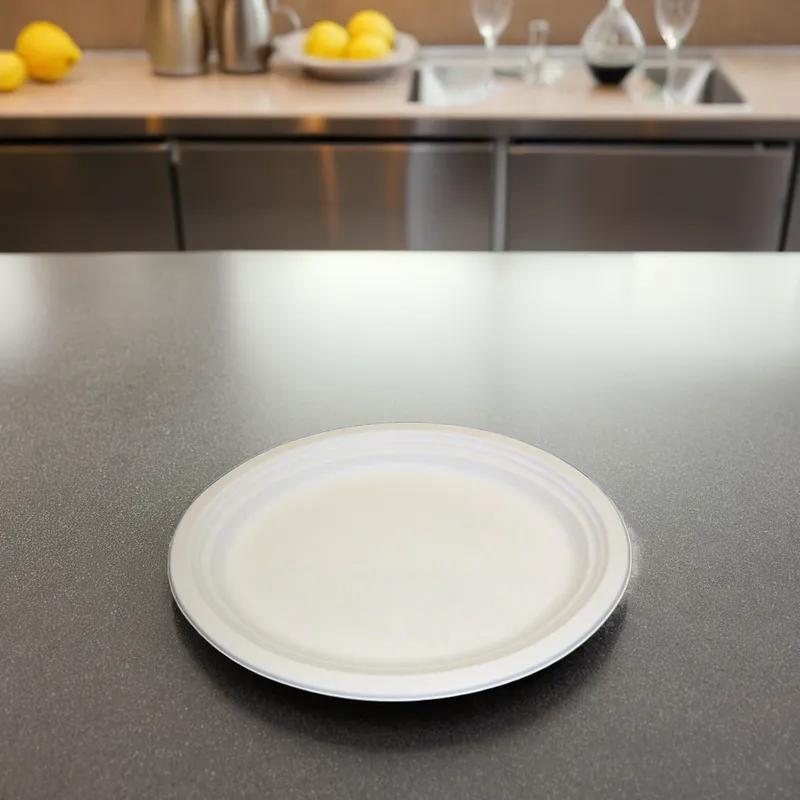 Victoria Bay Serving Tray 10X13 IN Sugarcane 500/Case