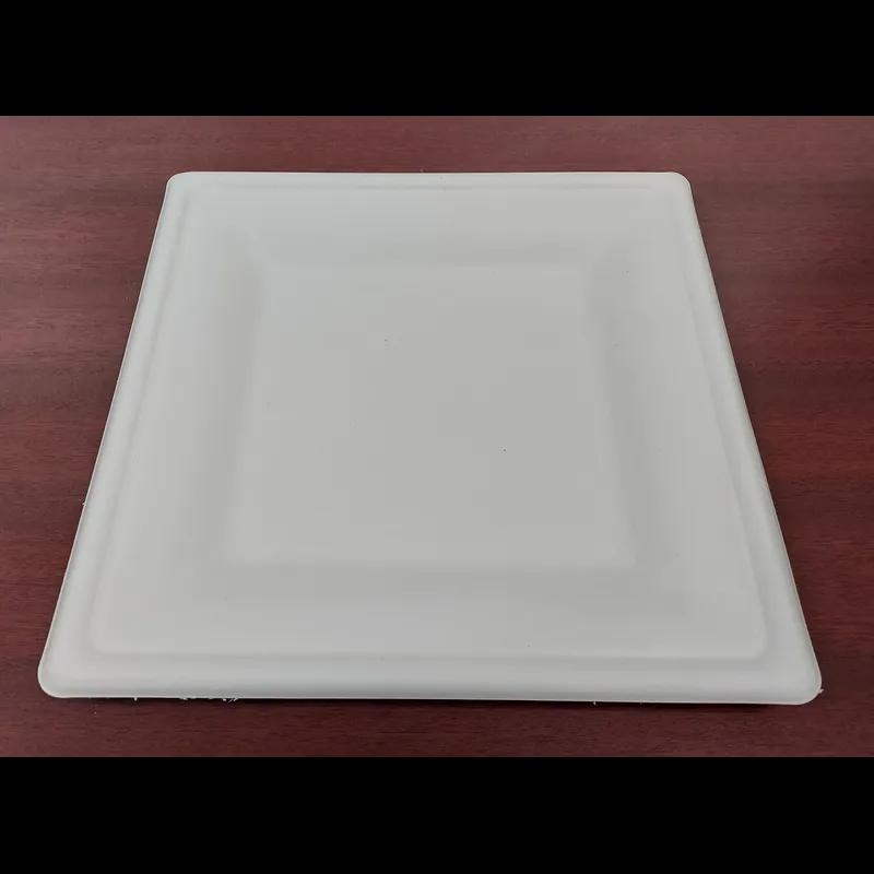 Victoria Bay Plate 10.25X10.25 IN Sugarcane Square 500/Case
