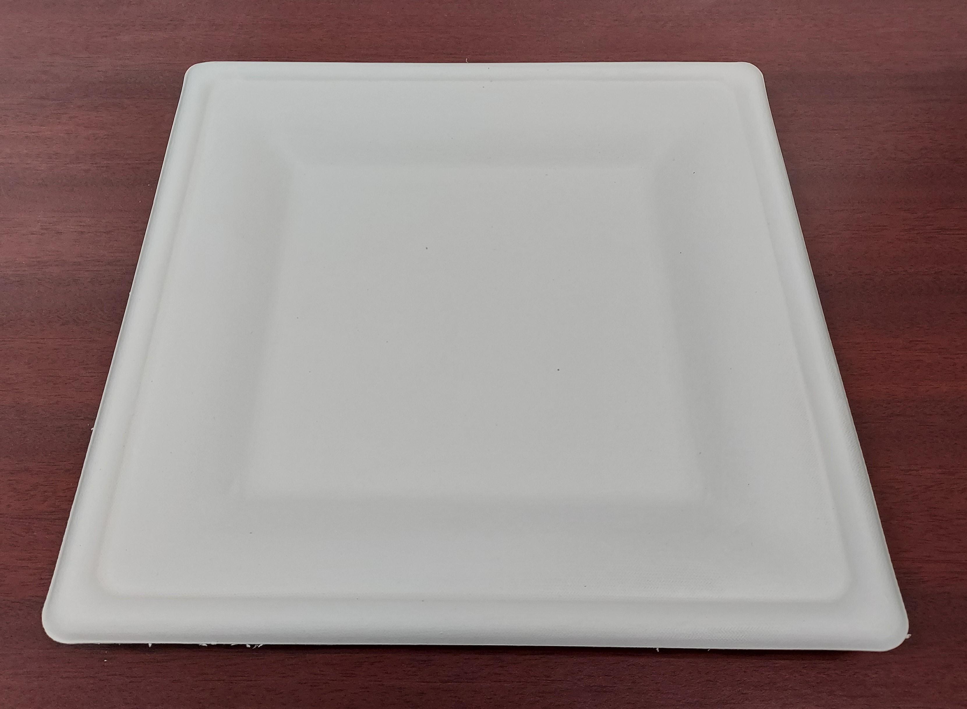 Victoria Bay Plate 10.25X10.25 IN Sugarcane Square 500/Case