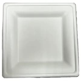 Victoria Bay Plate 8X8 IN Sugarcane White Square 500/Case
