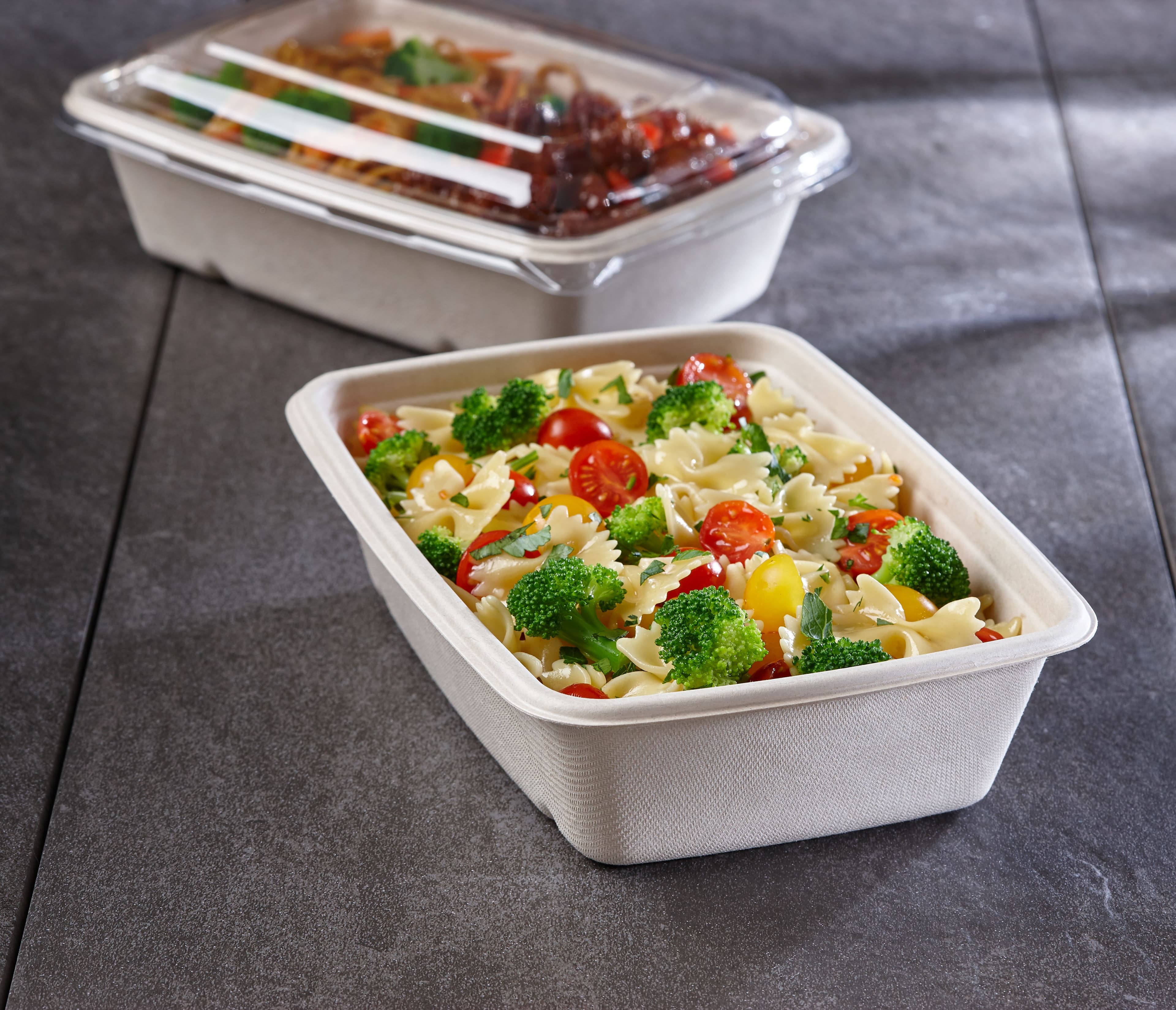 Pulp Plus™ Take-Out Container 36 OZ 6X9 IN Sugarcane Rectangle 300/Case