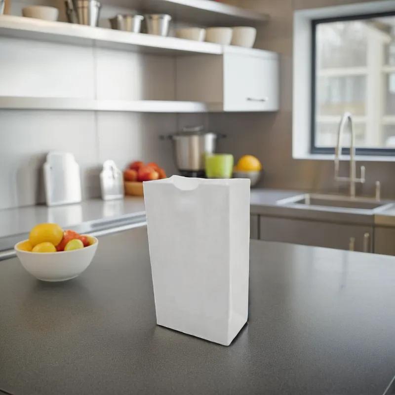 Victoria Bay Bag #20 8.27X5.91X14.37 IN Paper 40# White Squat 500/Bundle