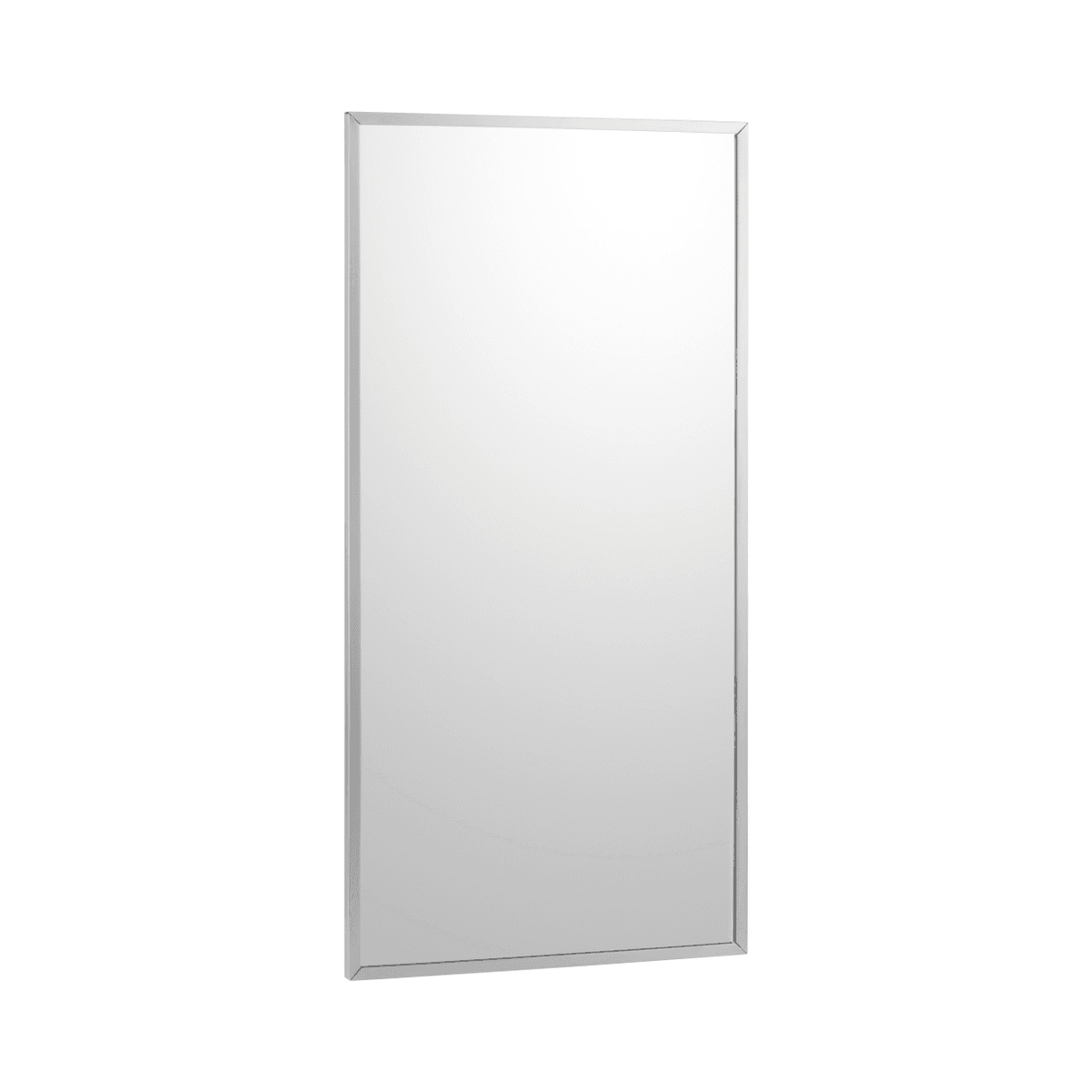 Mirror 30X18 IN Stainless Steel Surface Mounted Polished 1/Each