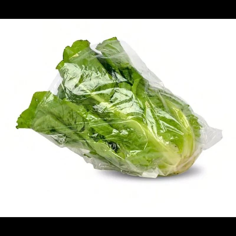Lettuce Bag 11X8.25X3.5 IN PP Gusset Vented 1000/Case