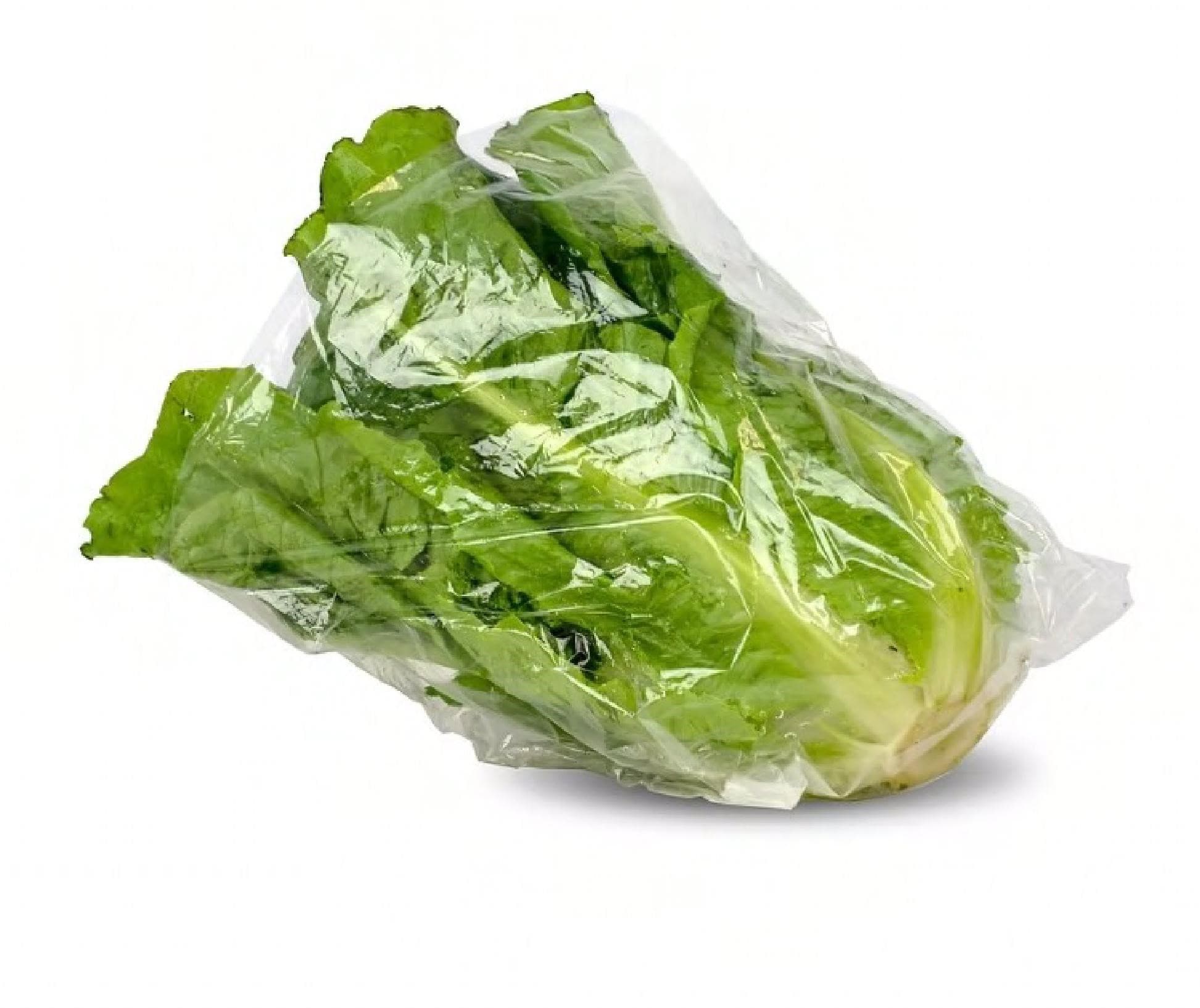 Lettuce Bag 11X8.25X3.5 IN PP Gusset Vented 1000/Case