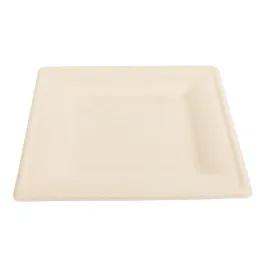 Plate 10X10 IN Molded Fiber Natural Square Microwave Safe Freezer Safe 125 Count/Pack 2 Packs/Case 250 Count/Case