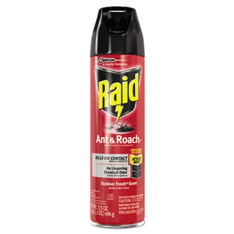 Raid® Insecticide 17.5 OZ Ant Roach Aerosol 12/Case