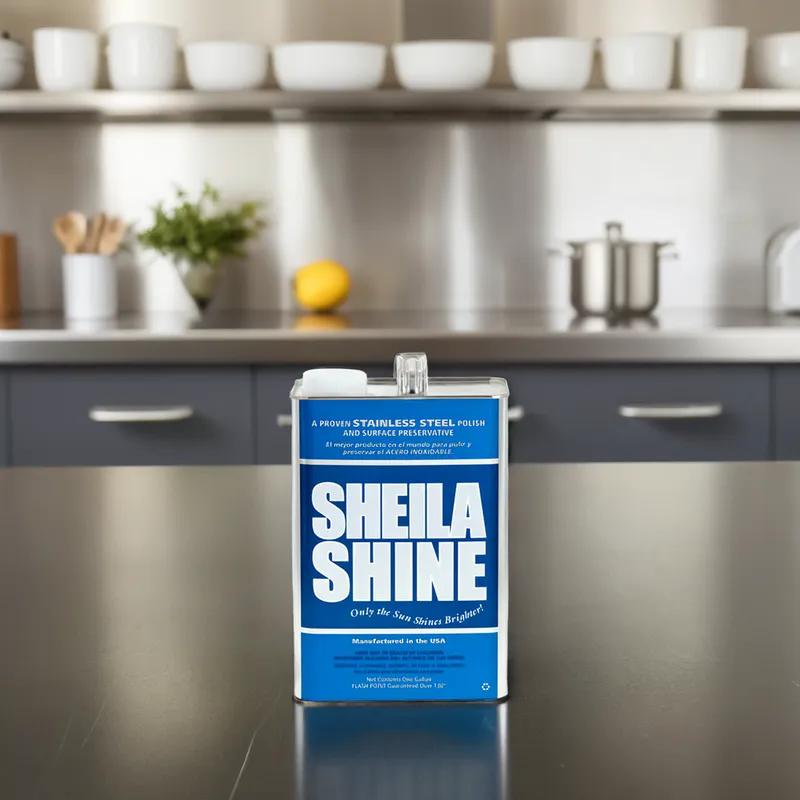 Stainless Steel Polish 1 GAL 1/Each