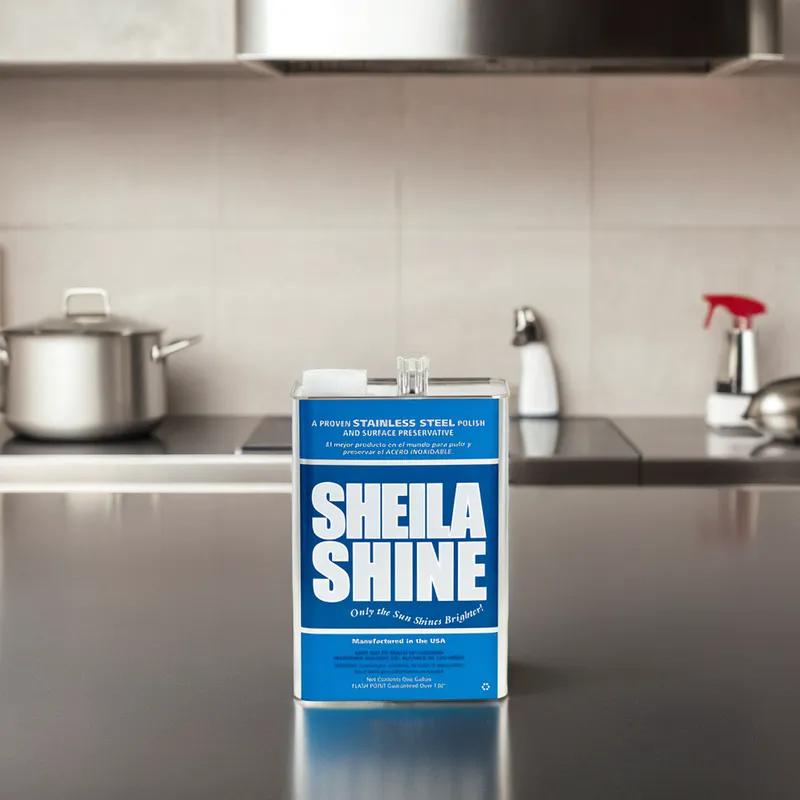 Stainless Steel Polish 1 GAL 1/Each