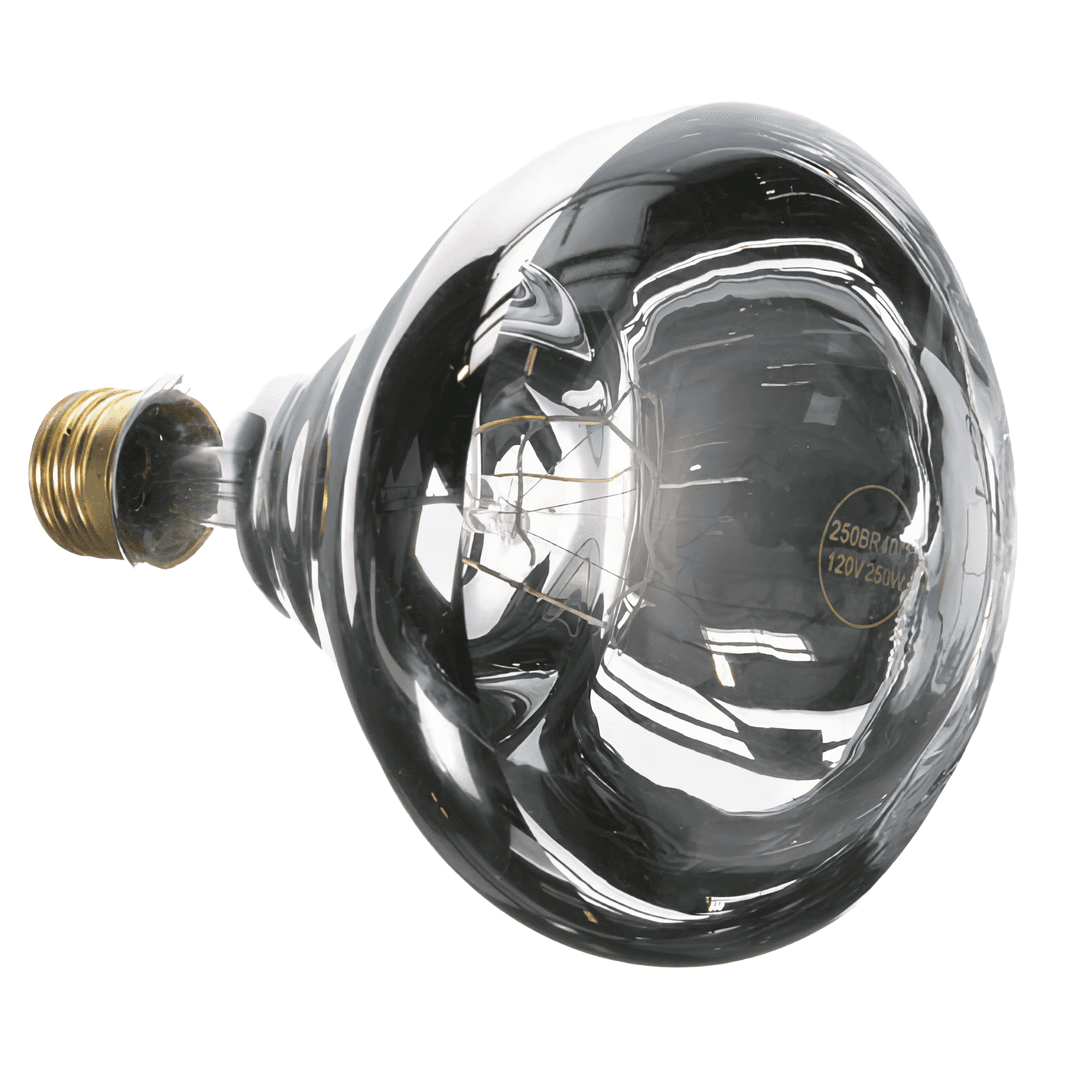 Light Bulb Clear 250 Watt 120V For Heat Lamp 3 Count/Box 1 Box/Case