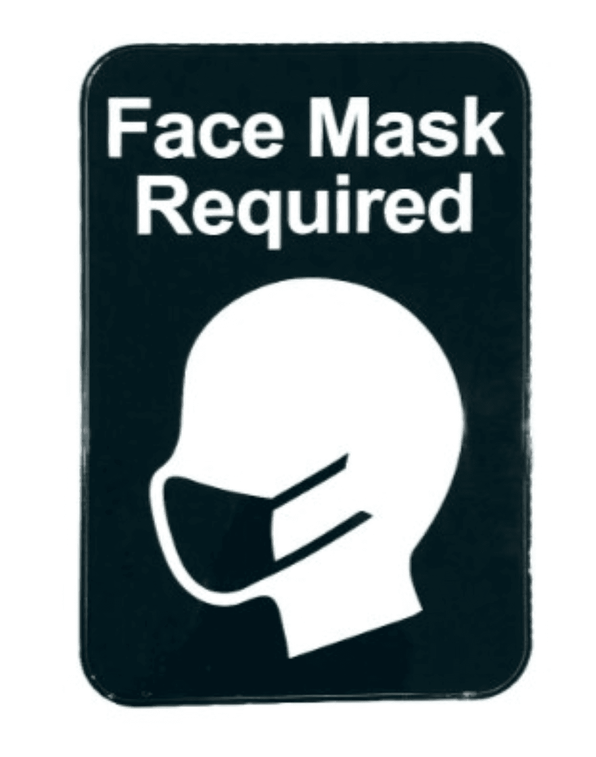 Mask 9X6 IN Black 1/Each