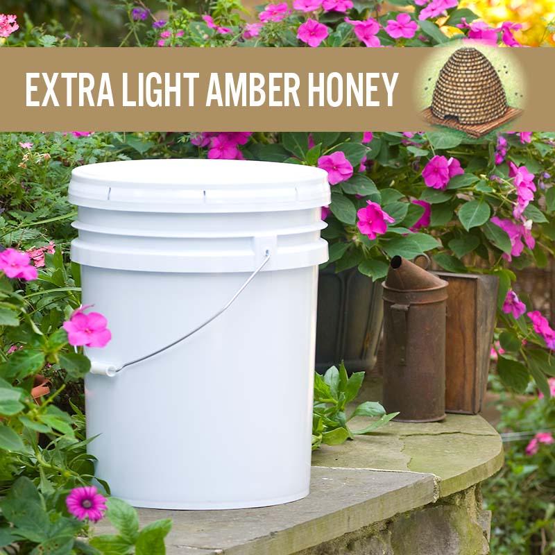 Wild Flower Honey 30 LB Light Amber 1/Pail