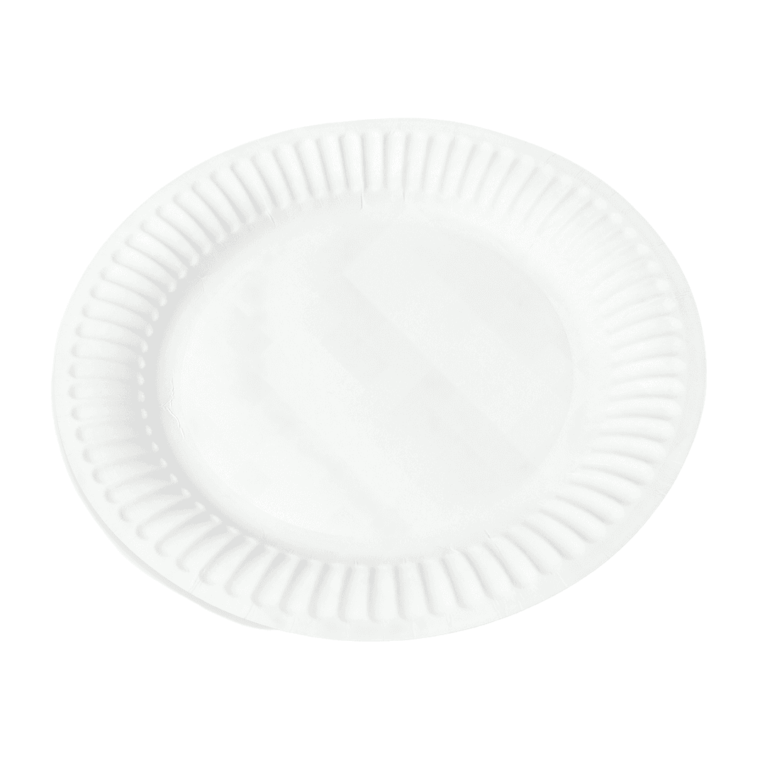 Plate 9 IN Coated Paper White Heavy Duty 500/Case