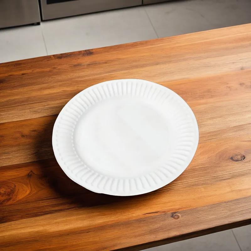 Plate 9 IN Coated Paper White Heavy Duty 500/Case