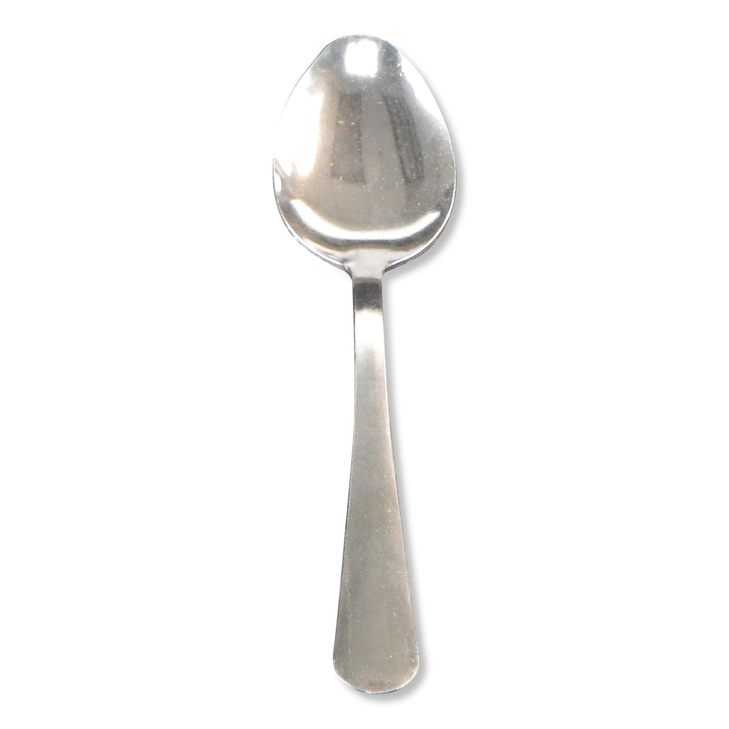 Spoon Stainless Steel Heavyweight 48/Case