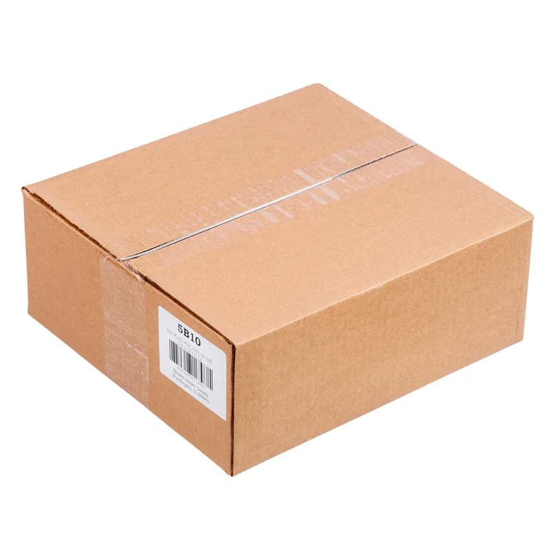 Bag 5X3.5X12 IN 1 QT Foil-Lined Paper Plain Insulated 500/Case