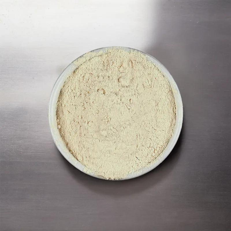 Spice Onion Powder 6# 1/Jar