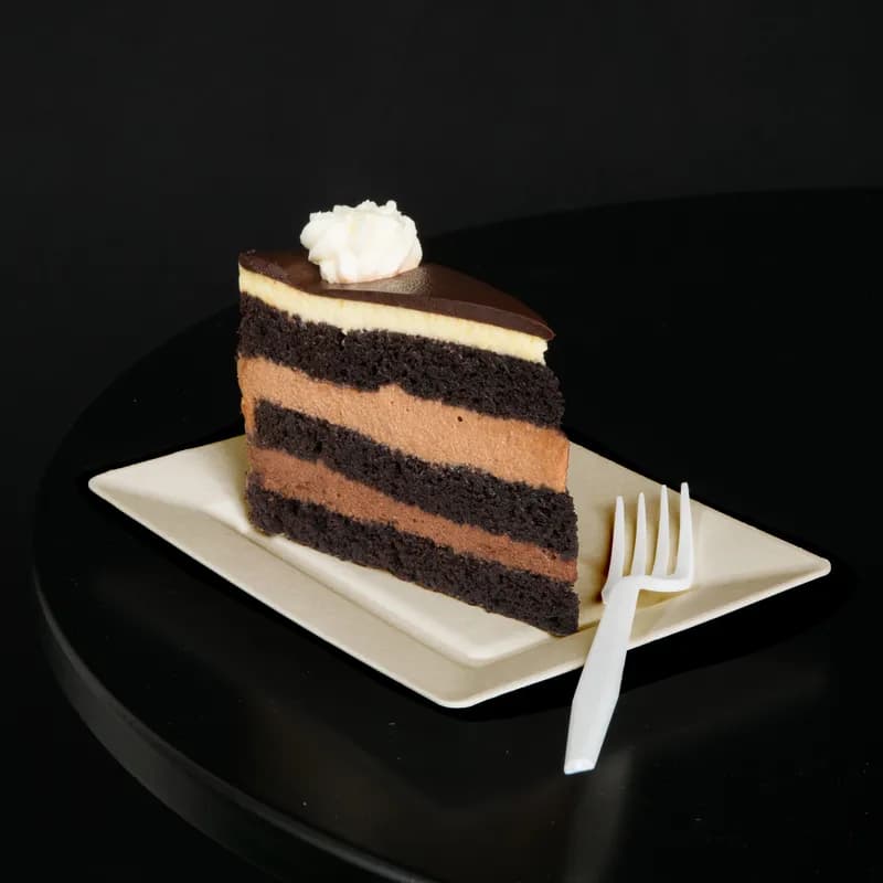 Plate 7.5X5.5 IN Sugarcane Rectangle 500/Case