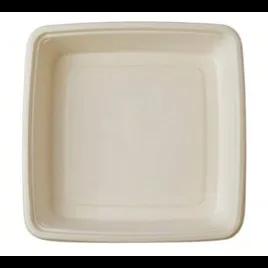 Take-Out Container 48 OZ 9X9 IN Square 300/Case