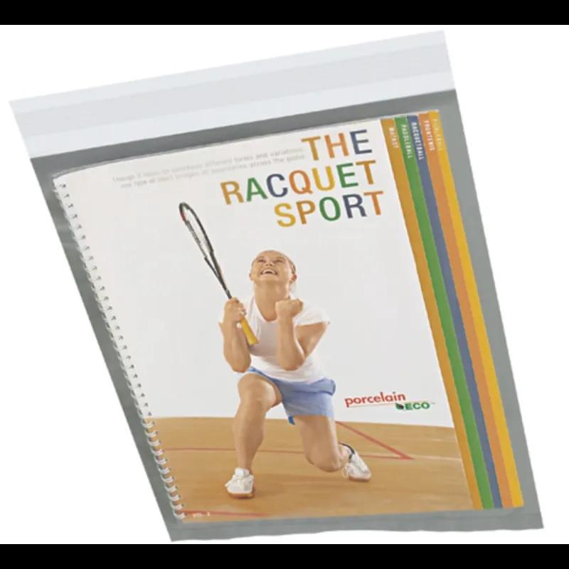 Mailer 13X10 IN Clear Poly-Bi 2.5MIL Front Self Seal 500/Case