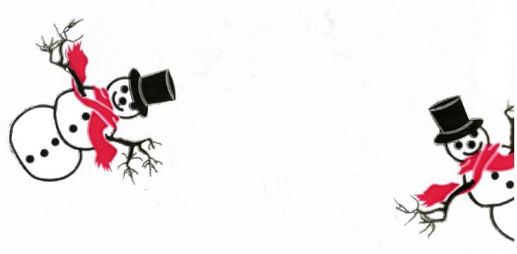 Multi-Purpose Roll 40IN X100FT Cellophane Multicolor Winter 1/Roll