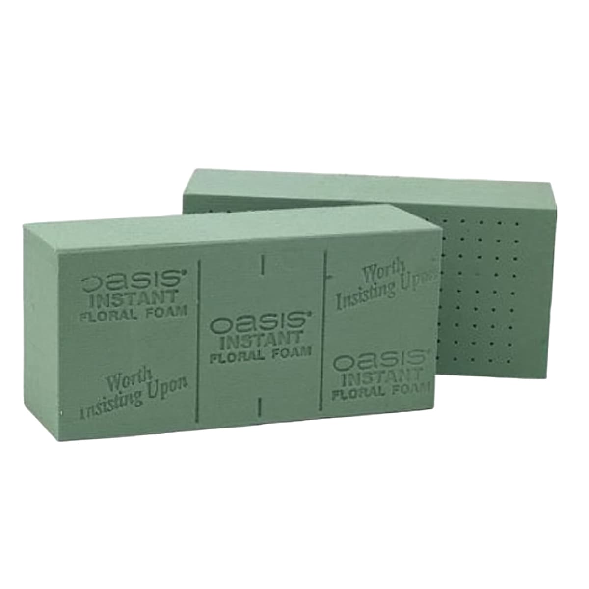 Instant Oasis Flower Sponge Green 48/Case